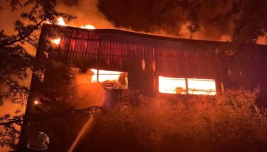 Kırklareli’nde ağaç işleme fabrikasında yangın